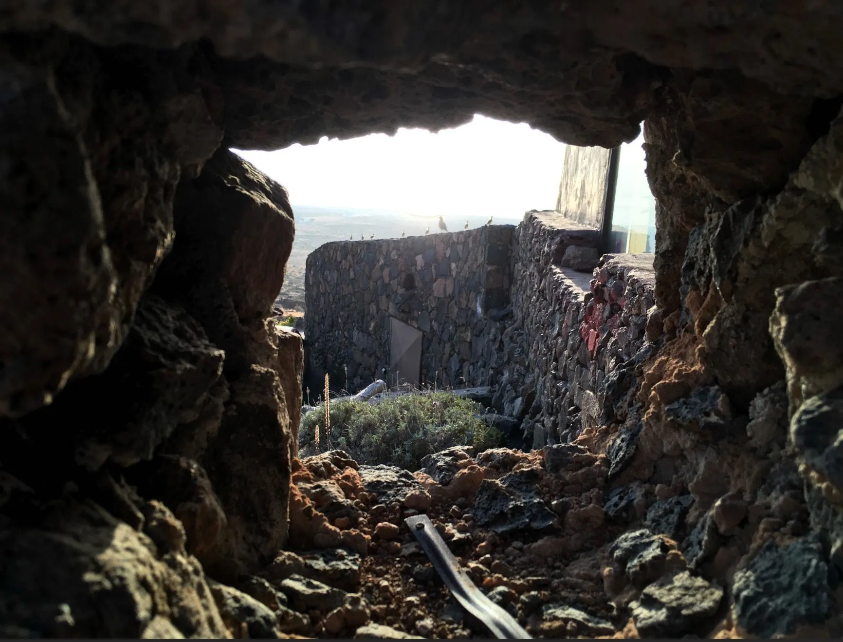 Blick durch eine Mauer auf Lanzarote, im Hintergrund eine Familie Rebhühner